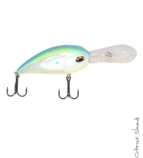 CD20 Deep Diving Crank Bait – Jenko Fishing