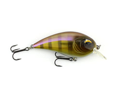 CD2 Square Bill Crank Bait