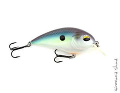 CD2 Square Bill Crank Bait