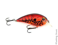 CD2 Square Bill Crank Bait
