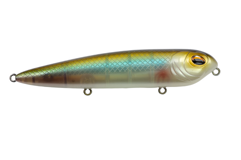 Bull_Minnow_large.png?v=1743796654