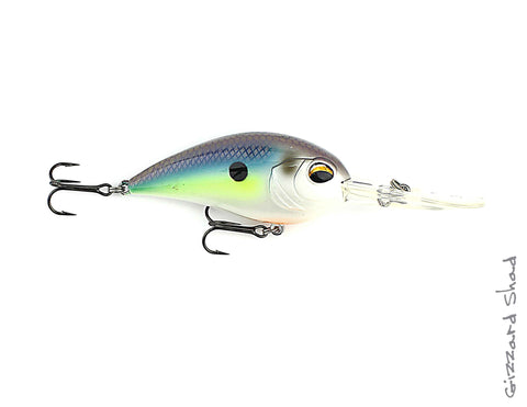 cd fishing lures 9Av0nHZESiar1COmnHmw_CD15GS_20w-color_20labels_large.jpg?v=1571608777